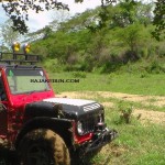 jual kebun jabon