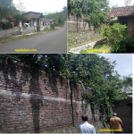 jual kebun dan rumah pinggir jalan