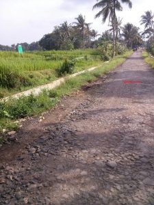 sawah-dijual-di-mandirancan